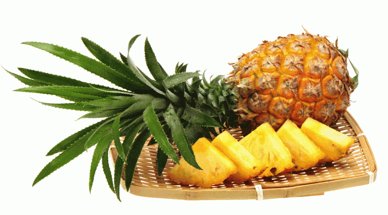 bromelain enzim ananasa