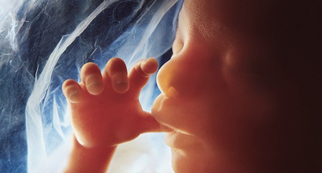 fetus neplodnost