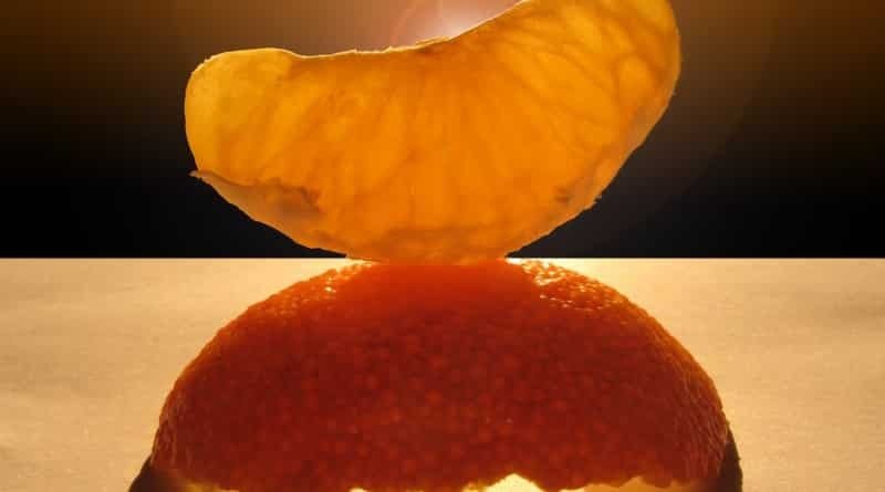 modificirani citrusni pektin