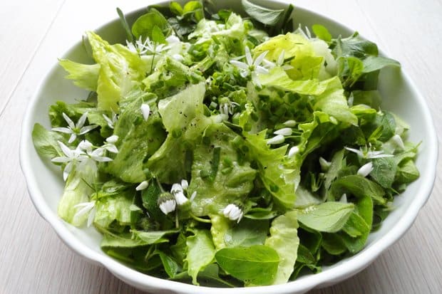 salad for cleansed organism