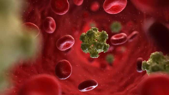 Hpv virus kod zena lecenje. HPV infekcija (BSc. Naida Mehmedbašić) parazitii neversea 2020