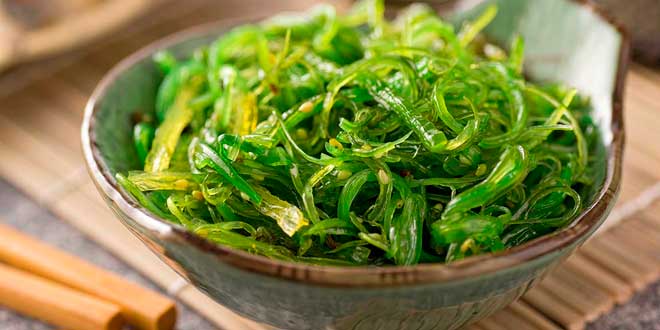 alga alga hrana