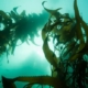 Kelp alga