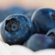 blueberries and health
