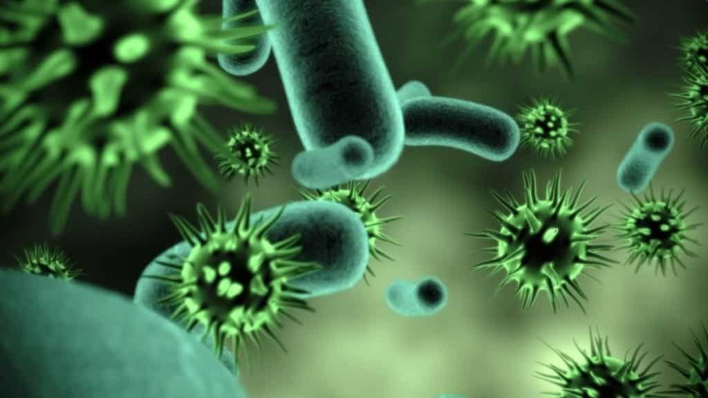 microbes and cancer