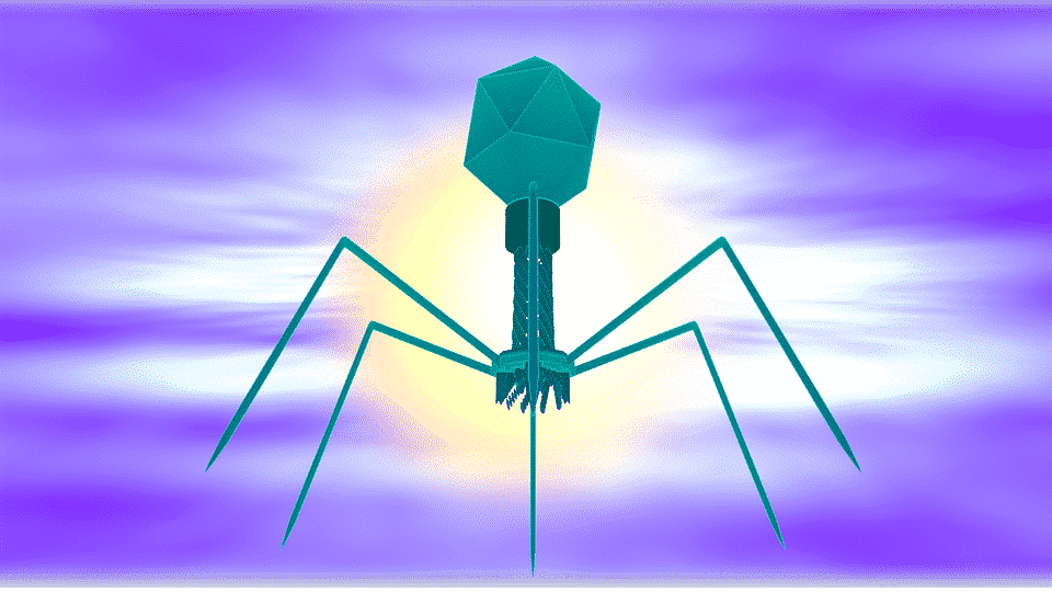 bakteriofag