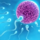 Pregnancy and sexually transmitted diseases