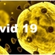 corona virus covid19