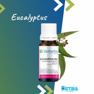 Eukalyptusöl