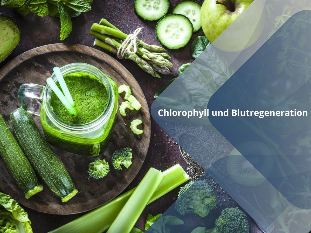 Chlorophyll und Blutregeneration