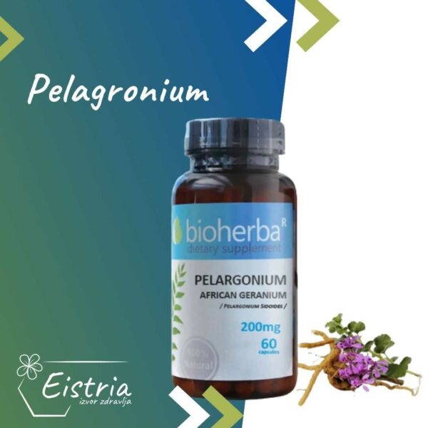 Pelagronium-Antivirus