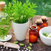 alternative and complementary therapies for cancer