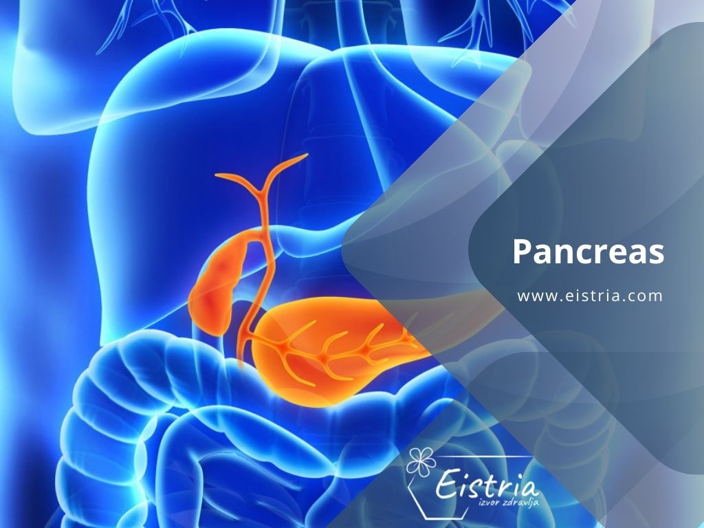 kancer pankreasa lečenje