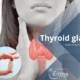 tiroidna žlezda homeopatija