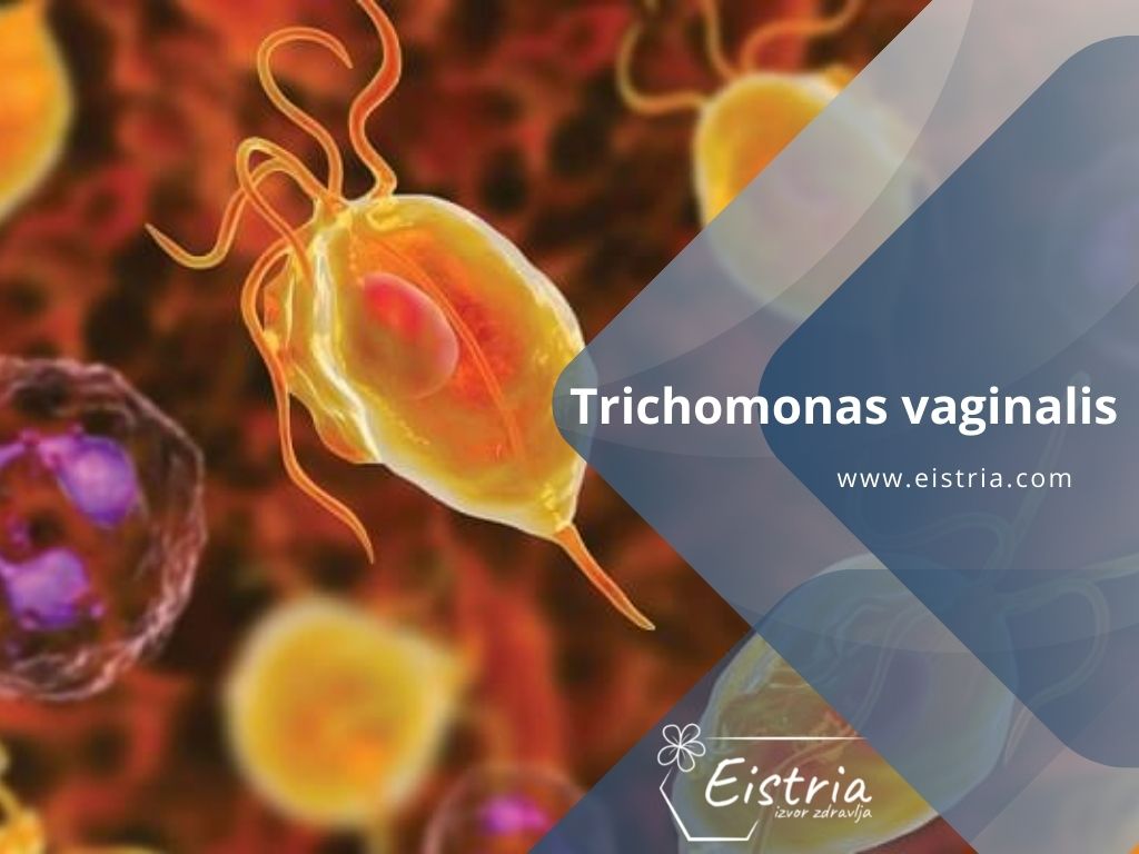 trihomanioza Trichomonas vaginalis lečenje