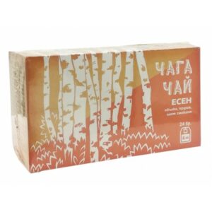 Chaga Tee mit Apfel-, Birnen- und Feigenblatt, 24 Filterbeutel