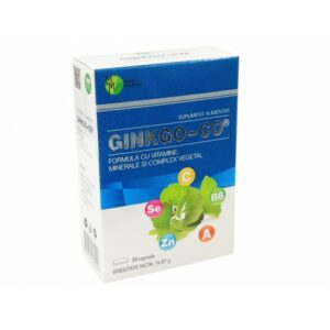 Ginkgo-Co, Vitamin- und Mineralstoffkomplex, 30 Kapseln