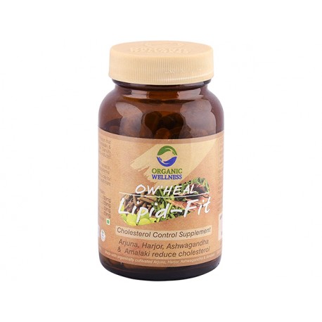 Lipid-Fit, Cholesterinkontrolle, Organic Wellness, 90 Kapseln