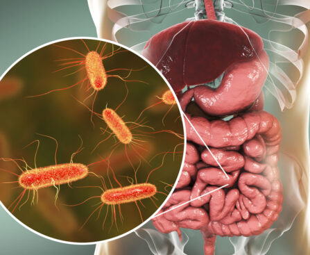 intestinal microbiome, escherichia coli
