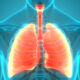 regeneracija pluća